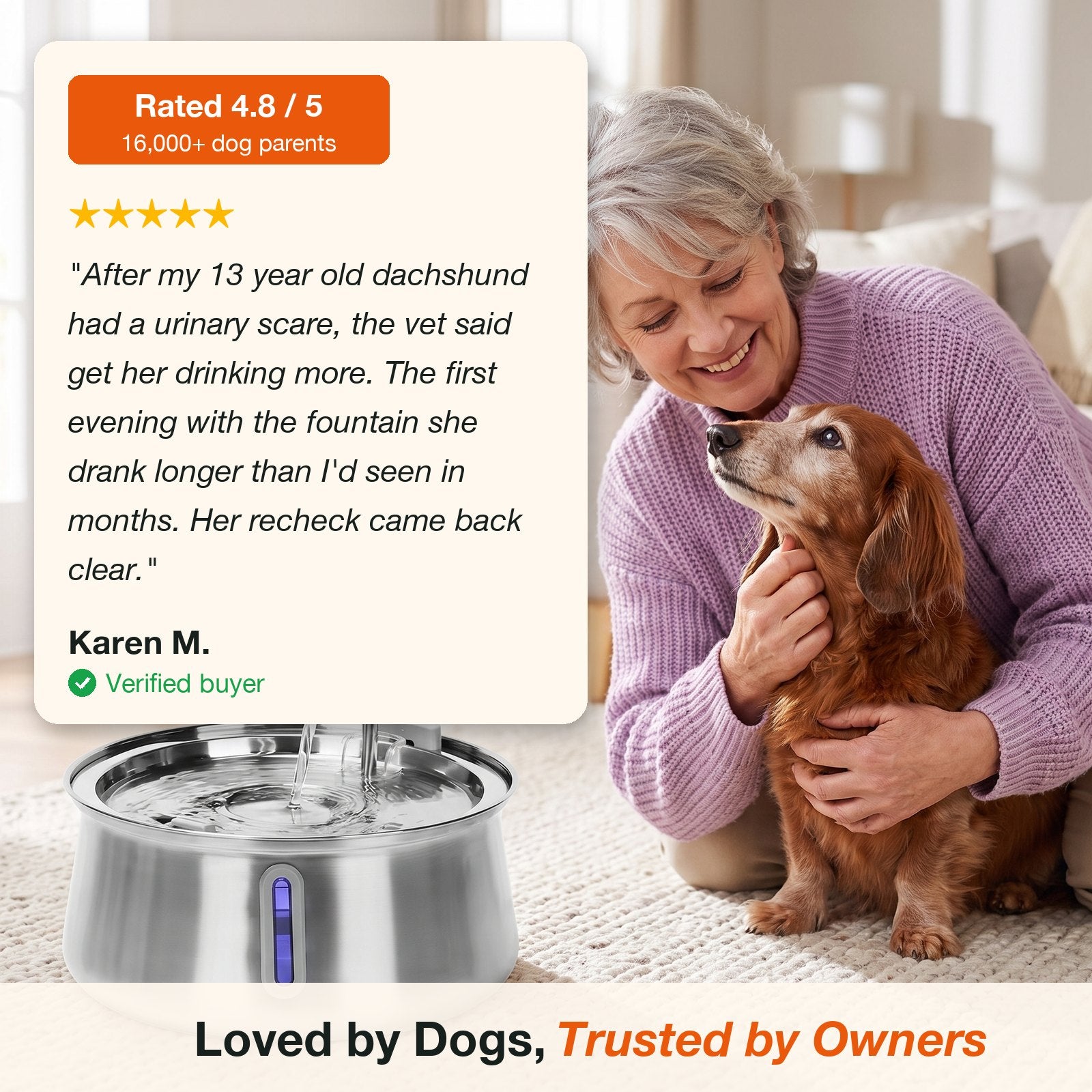 Karen M. review: her senior dachshund drinks more from the FreshStream