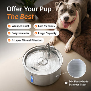 DryWag FreshStream™ Dog Water Fountain