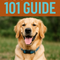 Dog Care 101 Guide