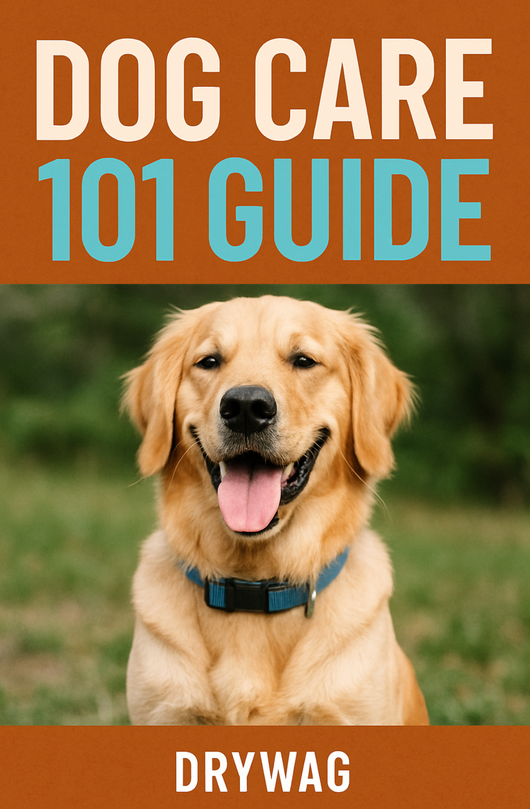 Dog Care 101 Guide