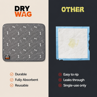 DryWag Washable Dog Training Pad