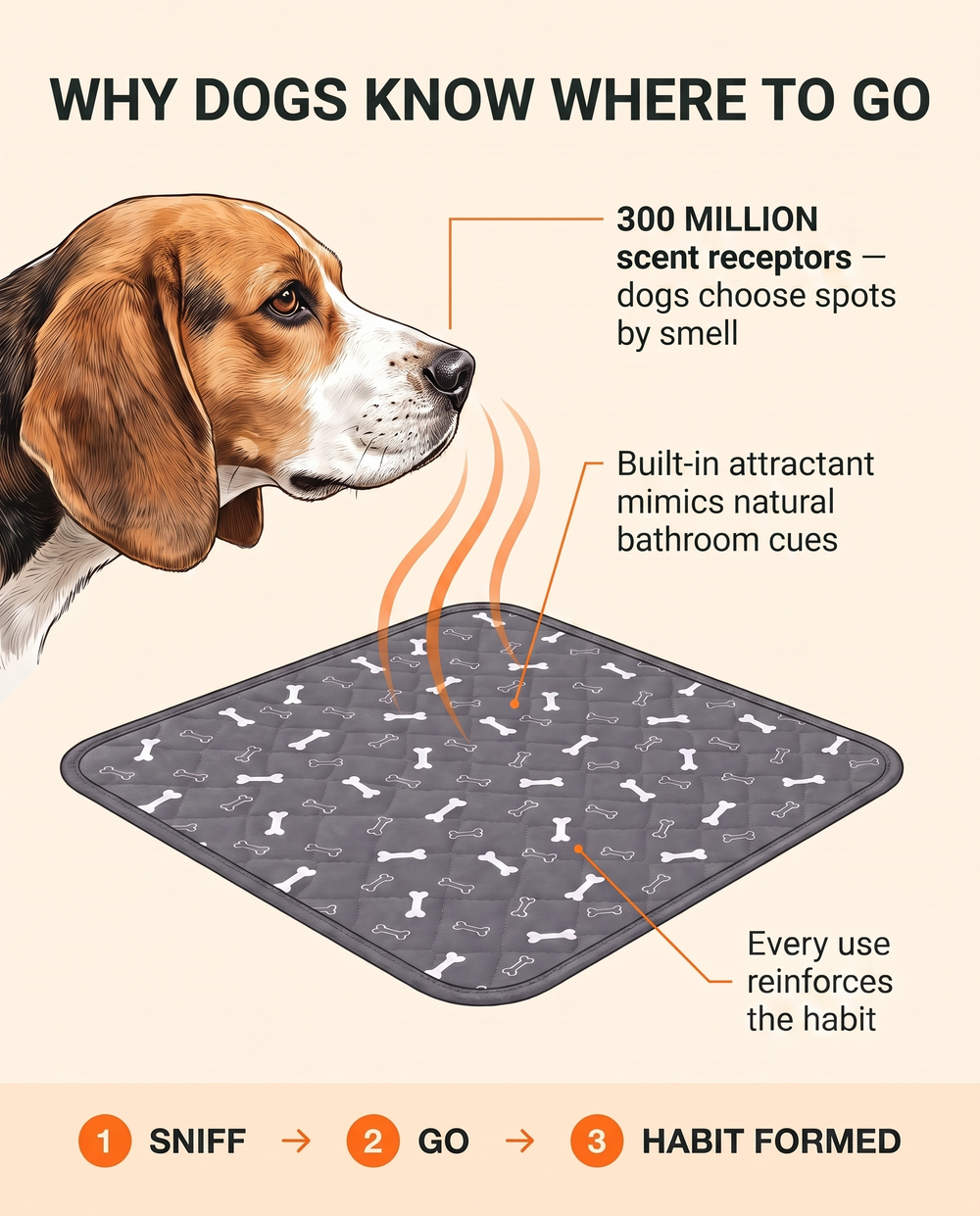 1. It Uses the Same Scent Trick Shelters Rely On