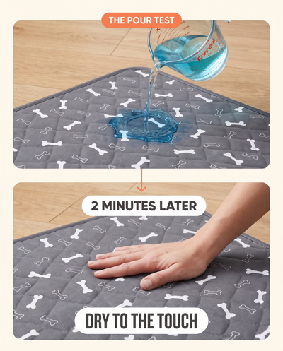 The Pour Test — dry to the touch in 2 minutes
