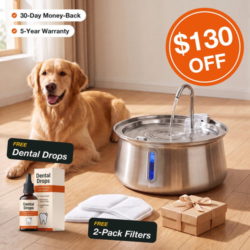 DryWag FreshStream™ Dog Water Fountain
