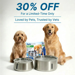 DryWag FreshStream™ Dog Water Fountain